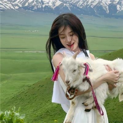 玫瑰的战争